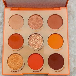 Colourpop Orange You Glad palette